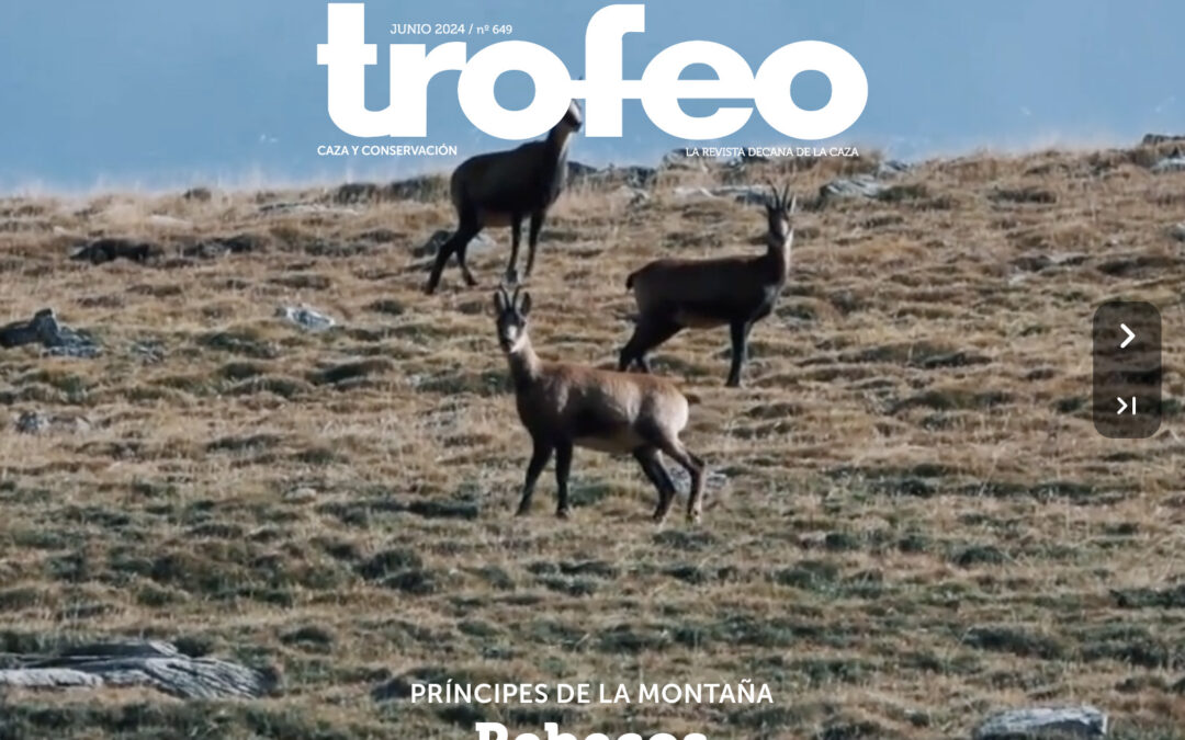 Trofeo 649 Junio 2024