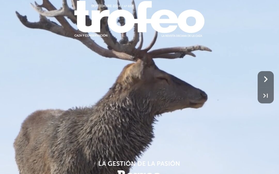 Trofeo 652 Septiembre 2024