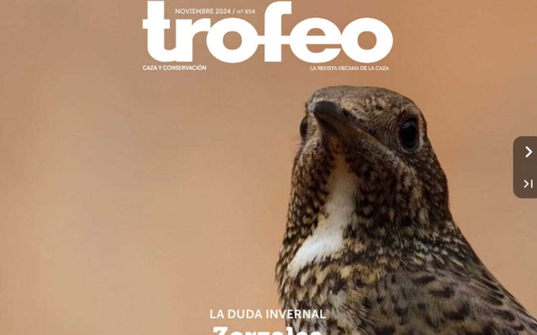 Trofeo 654 Noviembre 2024