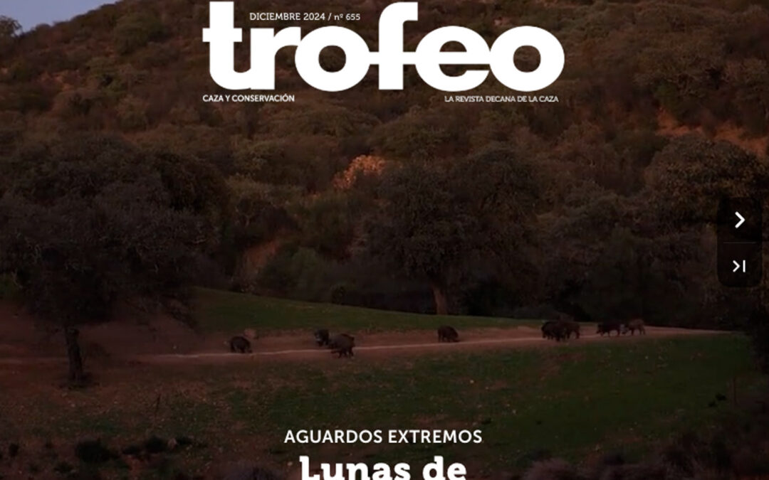 Trofeo 655 Diciembre 2024