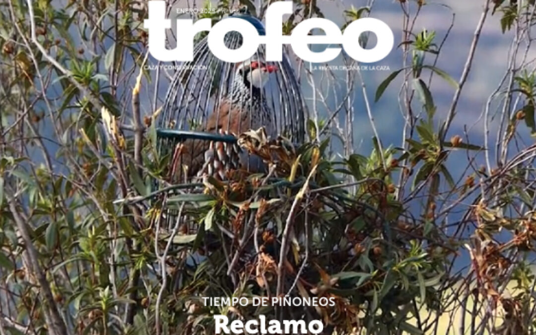 Trofeo 656 Enero 2025
