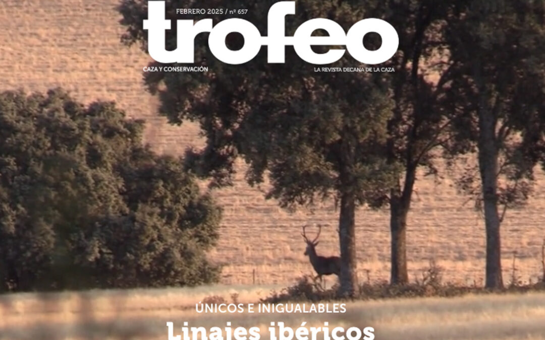Trofeo 657 Febrero 2025