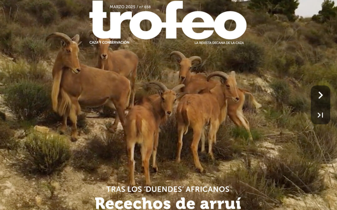 Trofeo 658 Marzo 2025
