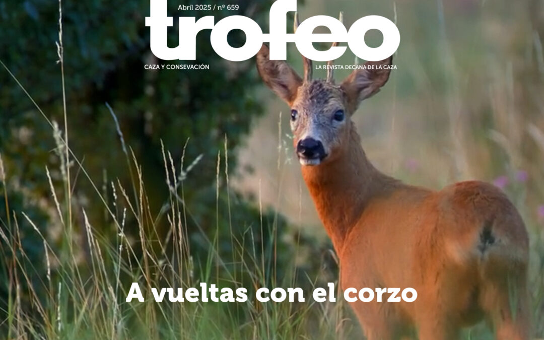 Trofeo 659 Abril 2025