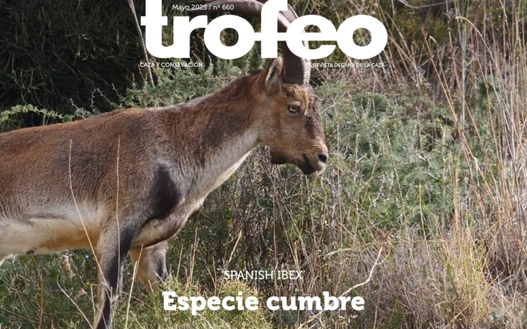 Trofeo 660 Mayo 2025
