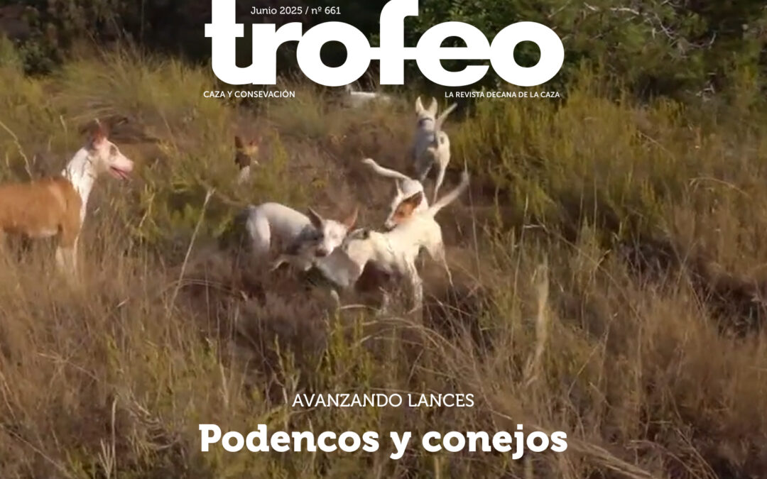 Trofeo 661 Junio 2025