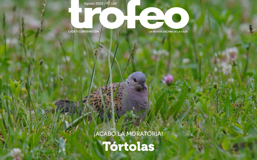 Trofeo 663 Agosto 2025