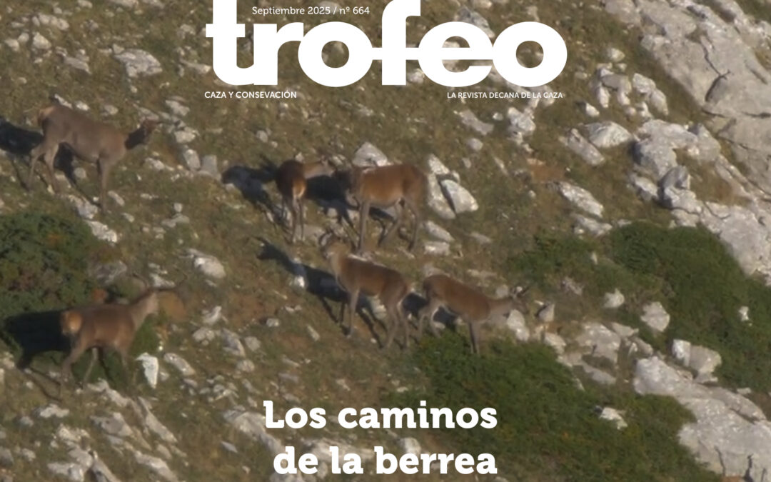 Trofeo 664 Septiembre 2025