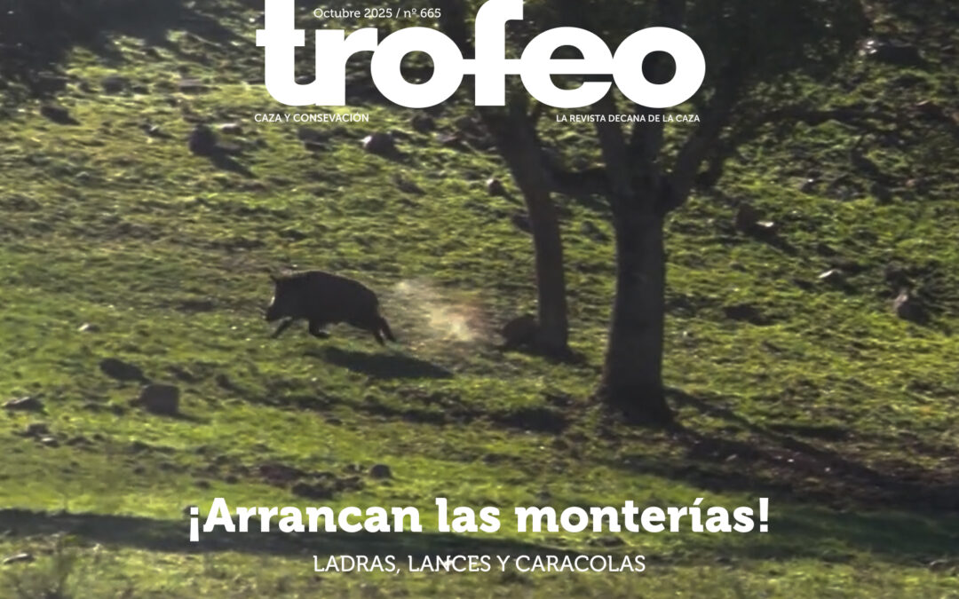 Trofeo 665 Octubre 2025
