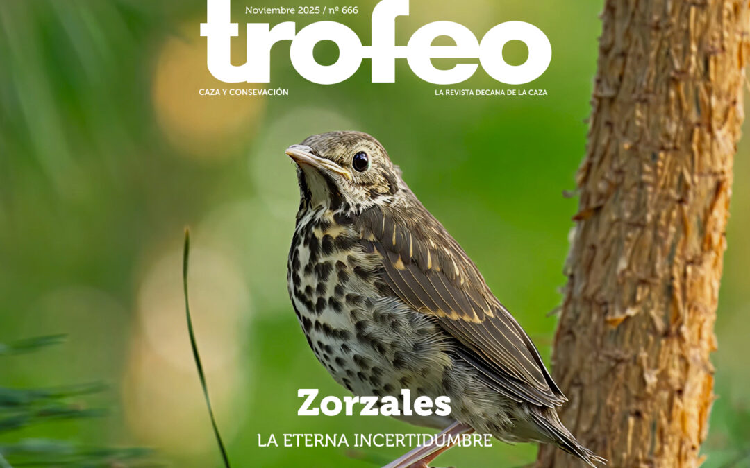 Trofeo 666 Noviembre 2025