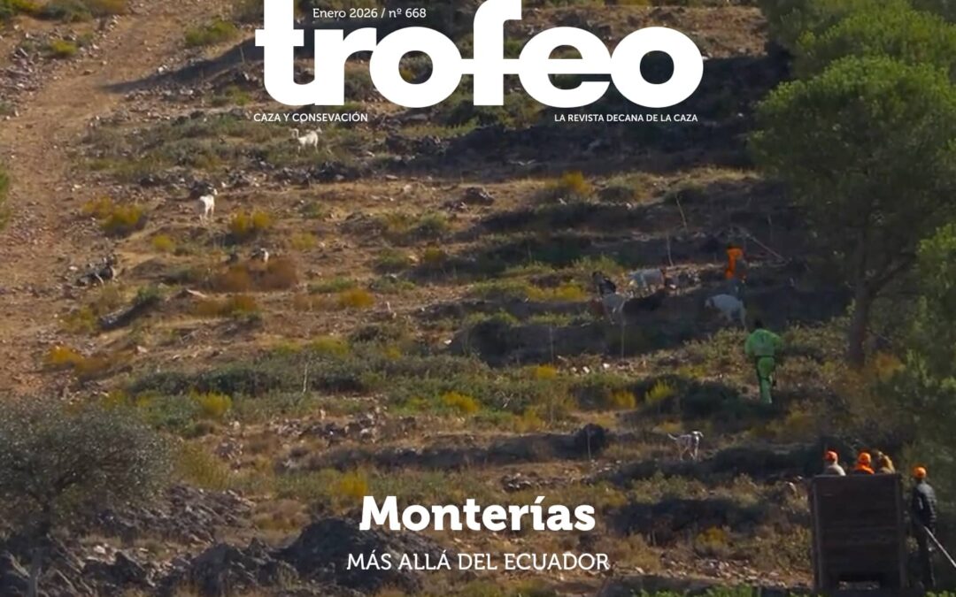Trofeo 668 Enero 2026