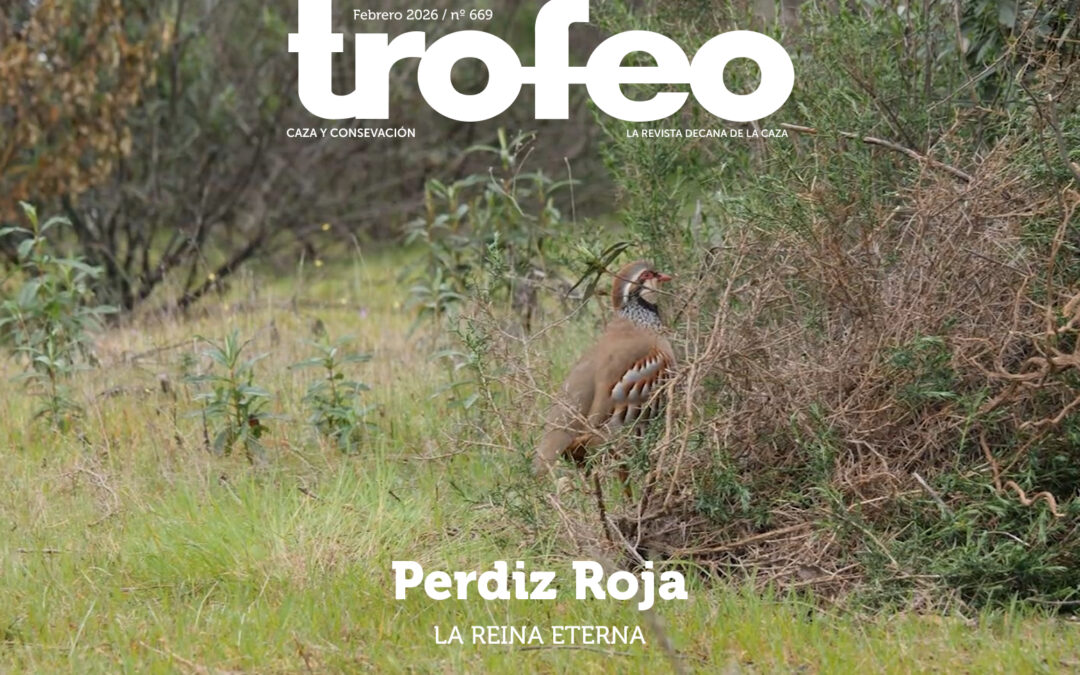 Trofeo 669 Febrero 2026