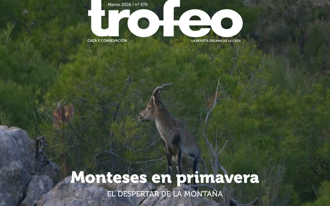 Trofeo 670 Marzo 2026