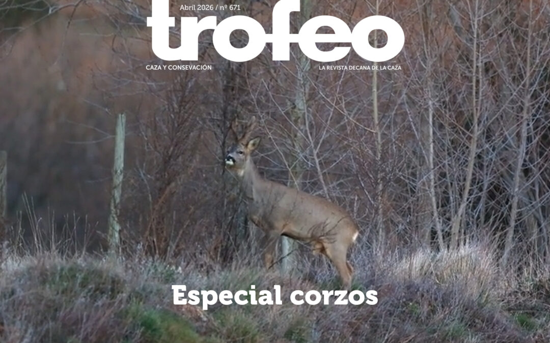 Trofeo 671 Abril 2026