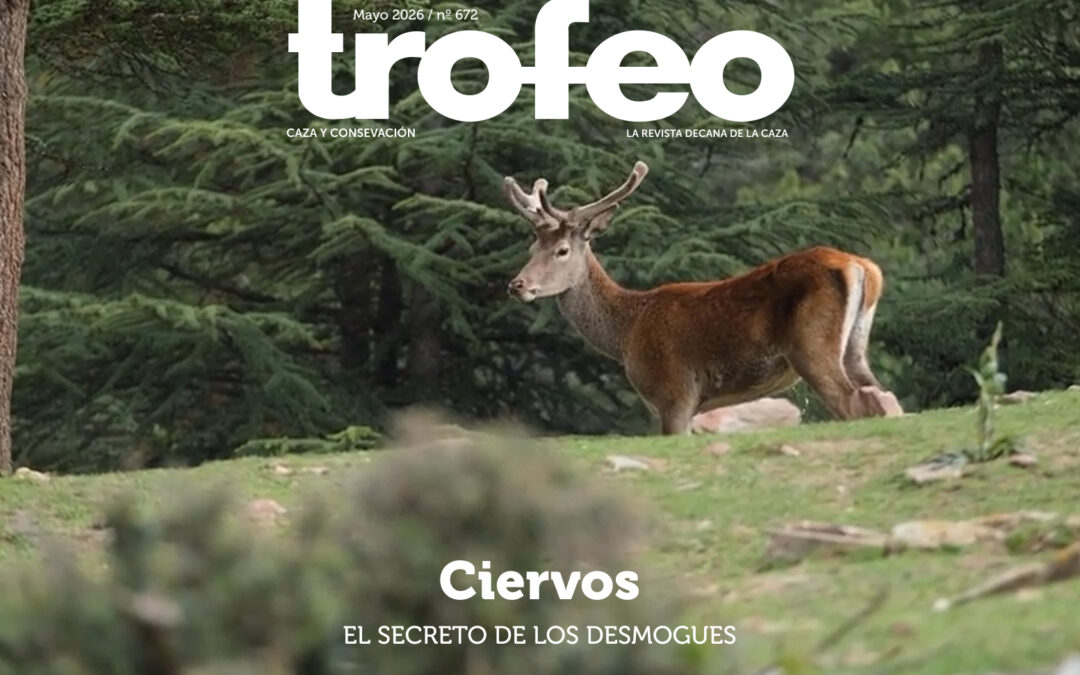 Trofeo 672 Mayo 2026