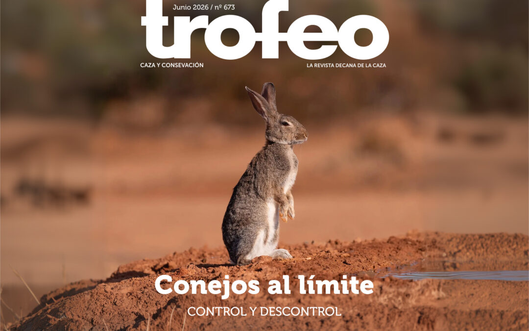 Trofeo 673 Junio 2026