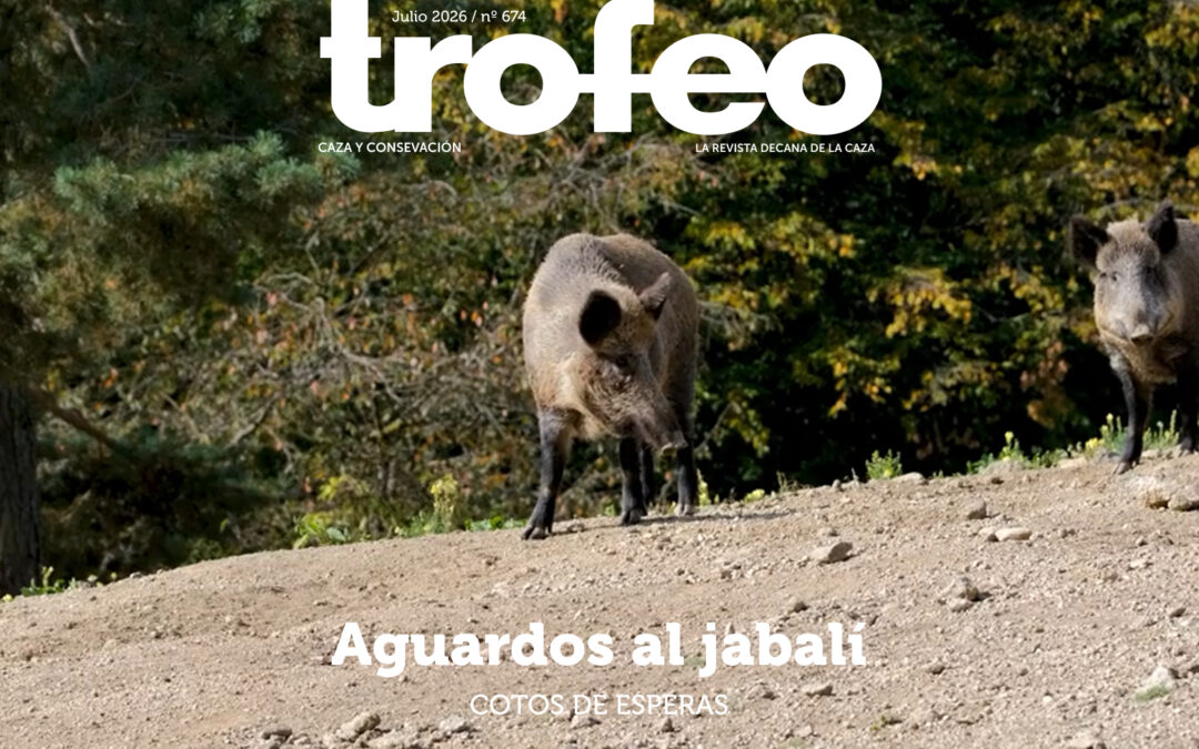 Trofeo 674 Julio 2026